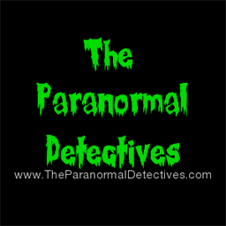 theparanormaldetectives.com