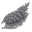 blog.conifercountry.com