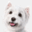 cesar.com