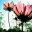 lightheartedness.wordpress.com