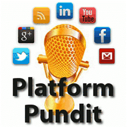 platformpundit.com
