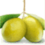 terrasuroliveoil.wordpress.com