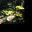 monismus.wordpress.com