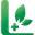 linadream.com