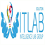 witlabsolution.in