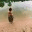 inamirzac.wordpress.com
