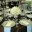 cocoabelleevents.wordpress.com