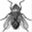 theflyisundeterred.com