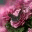 csitango.wordpress.com