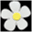 angiepedersen.typepad.com