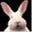 redhare.com