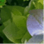 idsourcecode.wordpress.com