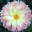 bytherecipe.me