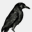 ravendeskgames.com