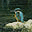 neilcox.co.uk