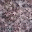 edgeoftheforest.org