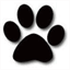 catndogstuff.com
