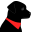 pethink.com