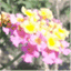 whyalmonds.wordpress.com