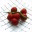 douceursgourmandes.wordpress.com