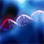 genostics.net