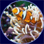 rl180reef.com