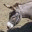 fuzzygrace.wordpress.com