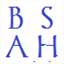 bsahvets2.com