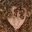 andycurly.wordpress.com