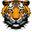 ayathetiger.com