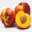 coofrutta.it