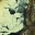 danielarvidsson.wordpress.com