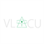vlaicu.us