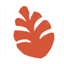 pineconegames.com