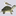 turtlebirdtechnologies.com