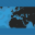 inyourlanguage.de