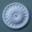plasterceilingroses.com
