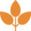 springbasil.com