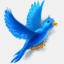twtter.us