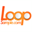 loopsample.com