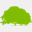 planetrees.com.au