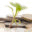 cashph.com