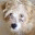 johnnythedog.wordpress.com