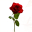 floresshantal.cl