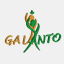 club.galanto.com