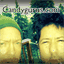 candygurus.com