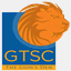 gtscmidtiersolution.com