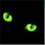 writingblind.com