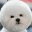 blog.funnynet.com.tw