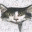 greghergert.wordpress.com